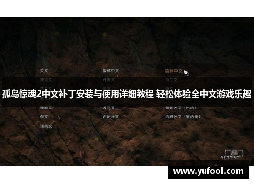 孤岛惊魂2中文补丁安装与使用详细教程 轻松体验全中文游戏乐趣