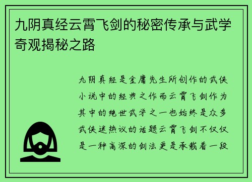 九阴真经云霄飞剑的秘密传承与武学奇观揭秘之路